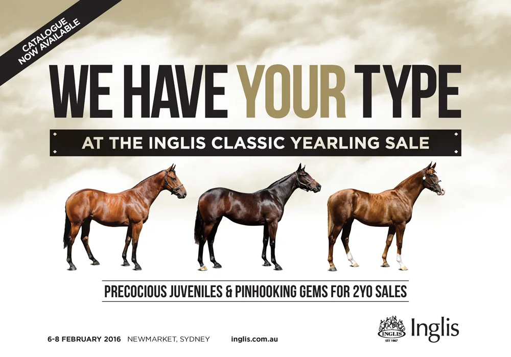 Inglis Advertising campaign creative direction graphic design