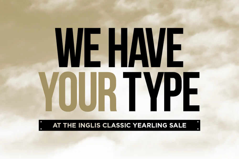Inglis Advertising campaign creative direction graphic design typography