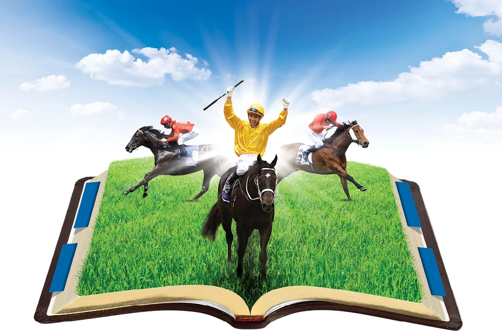 Inglis Advertising campaign creative direction graphic design