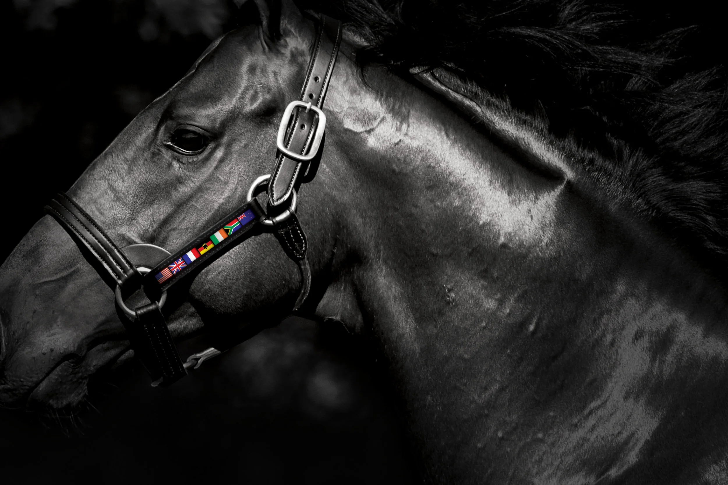 Inglis Advertising campaign creative direction graphic design