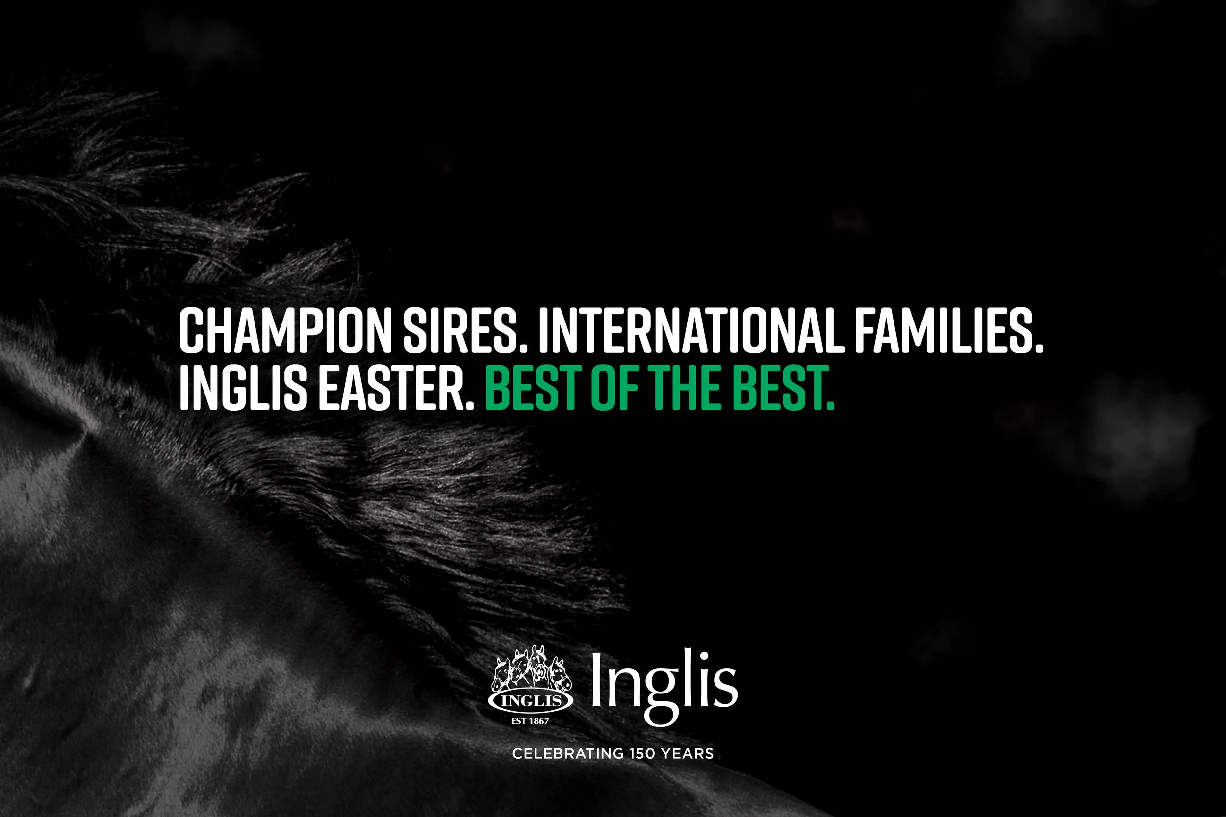 Inglis Advertising campaign creative direction graphic design