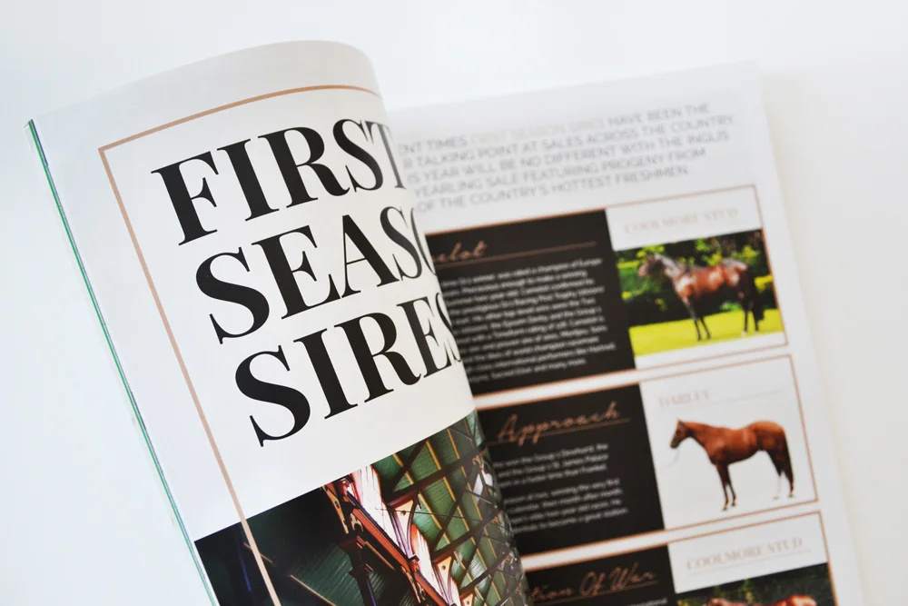 Inglis Advertising campaign creative direction graphic design