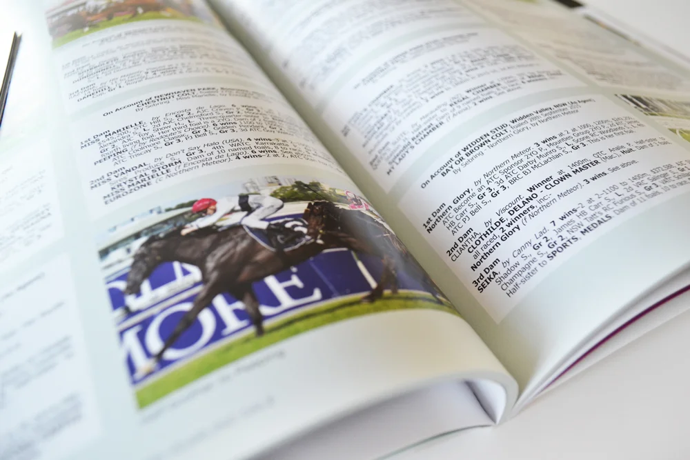 Inglis Advertising campaign creative direction graphic design