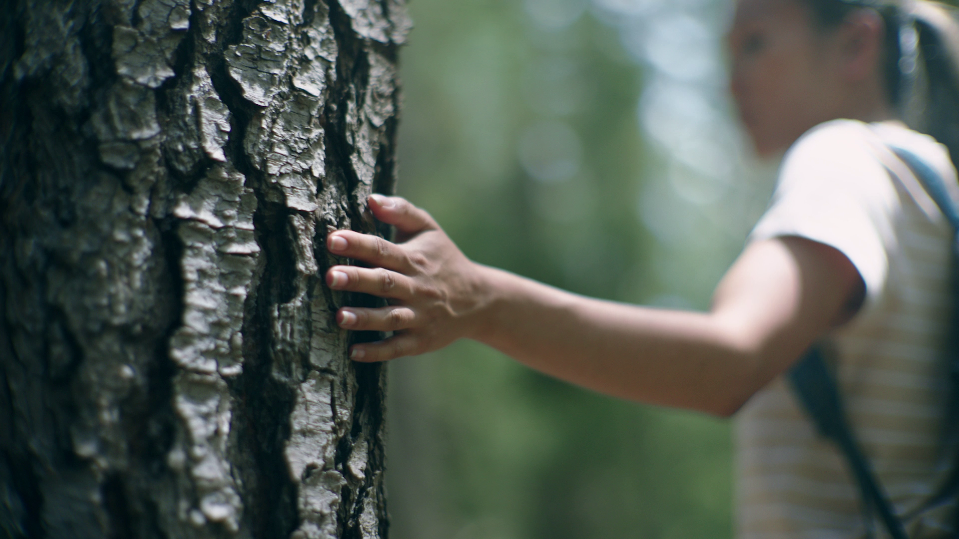 vlcsnap-2022-08-23-14h44m18s233.png