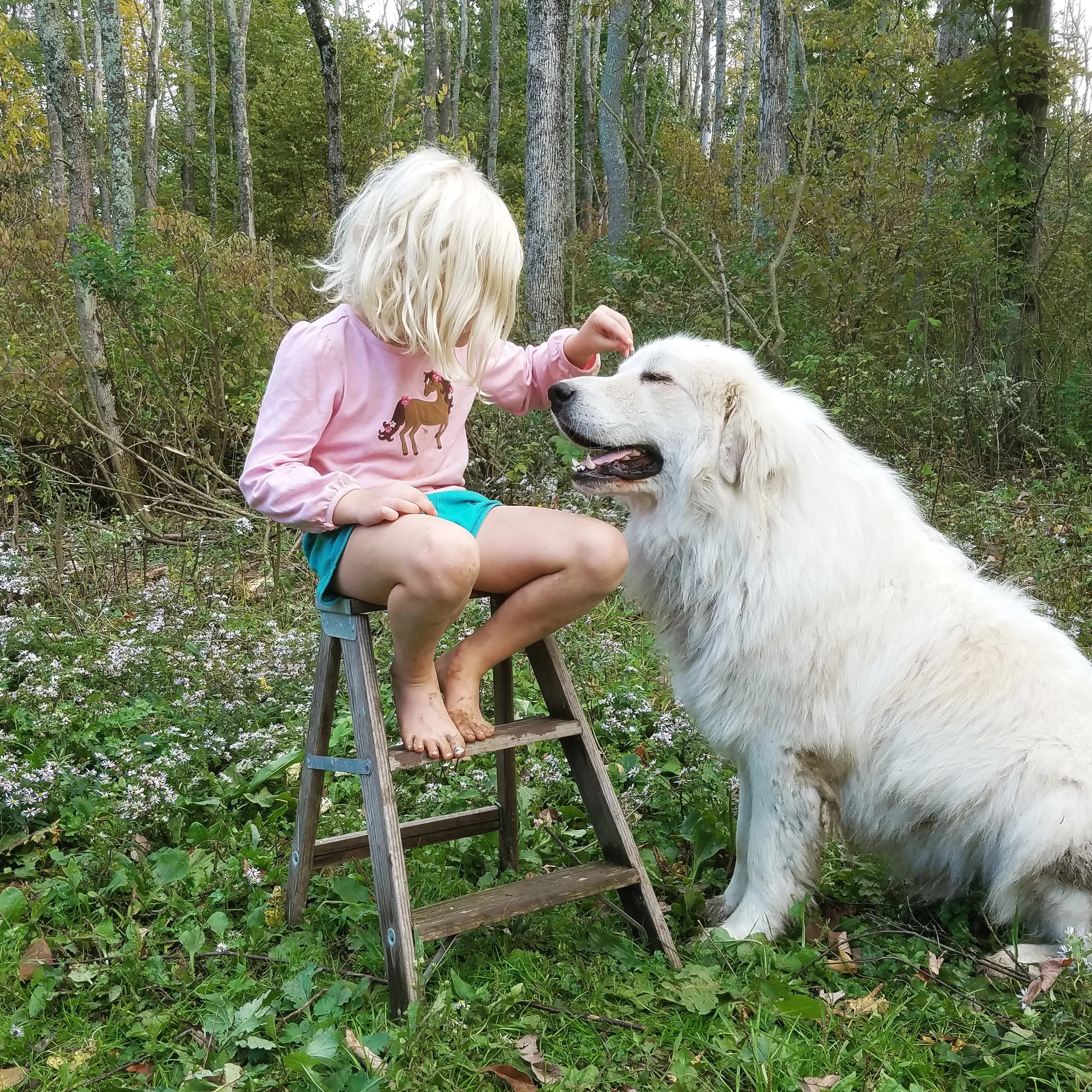 Eleanor picking the burs out of his fur.