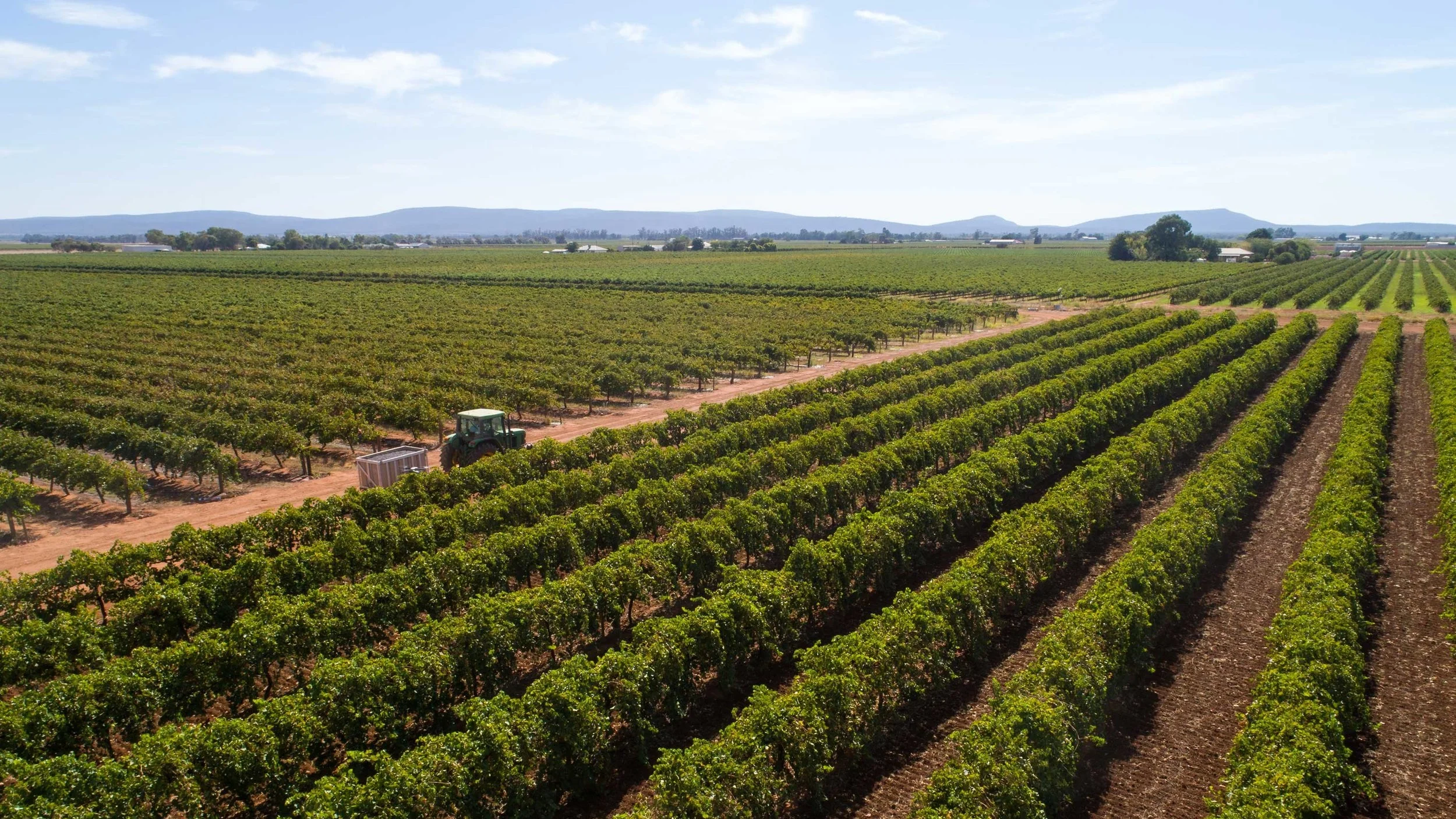 RiverinaWine_20190308_web.jpg