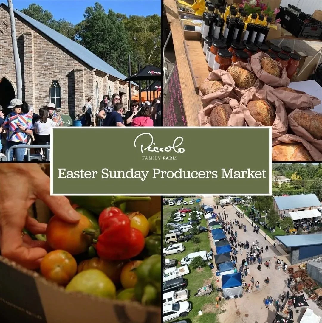 Producers Market @ Piccolo Family Farm