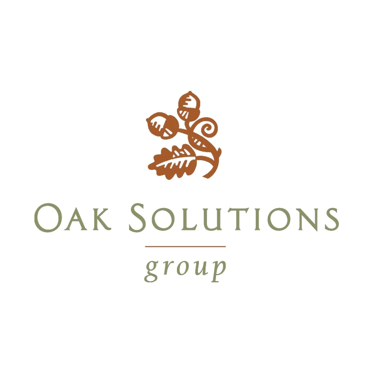 oak-solutions-log-web.jpg
