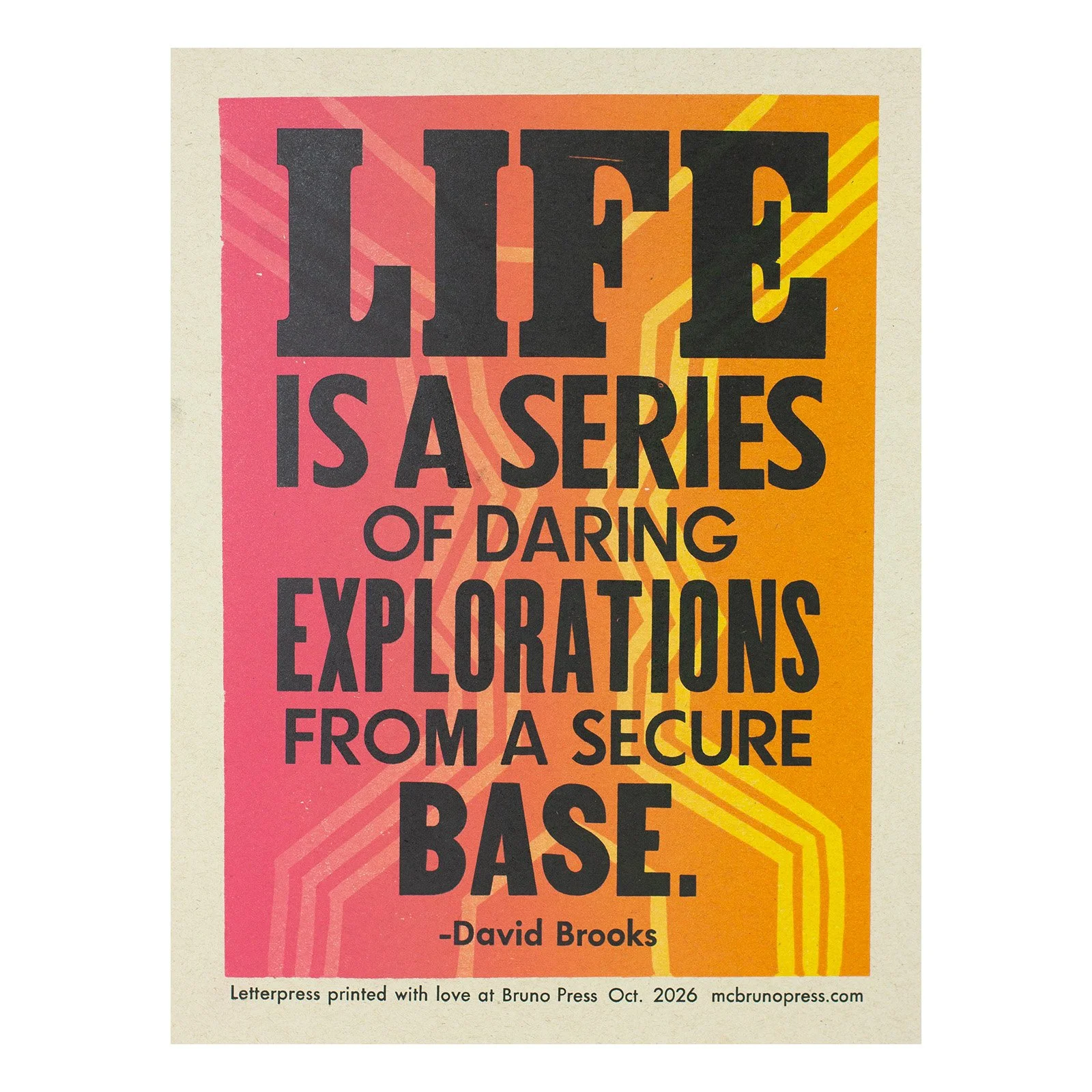 David Brooks Quote —  Life