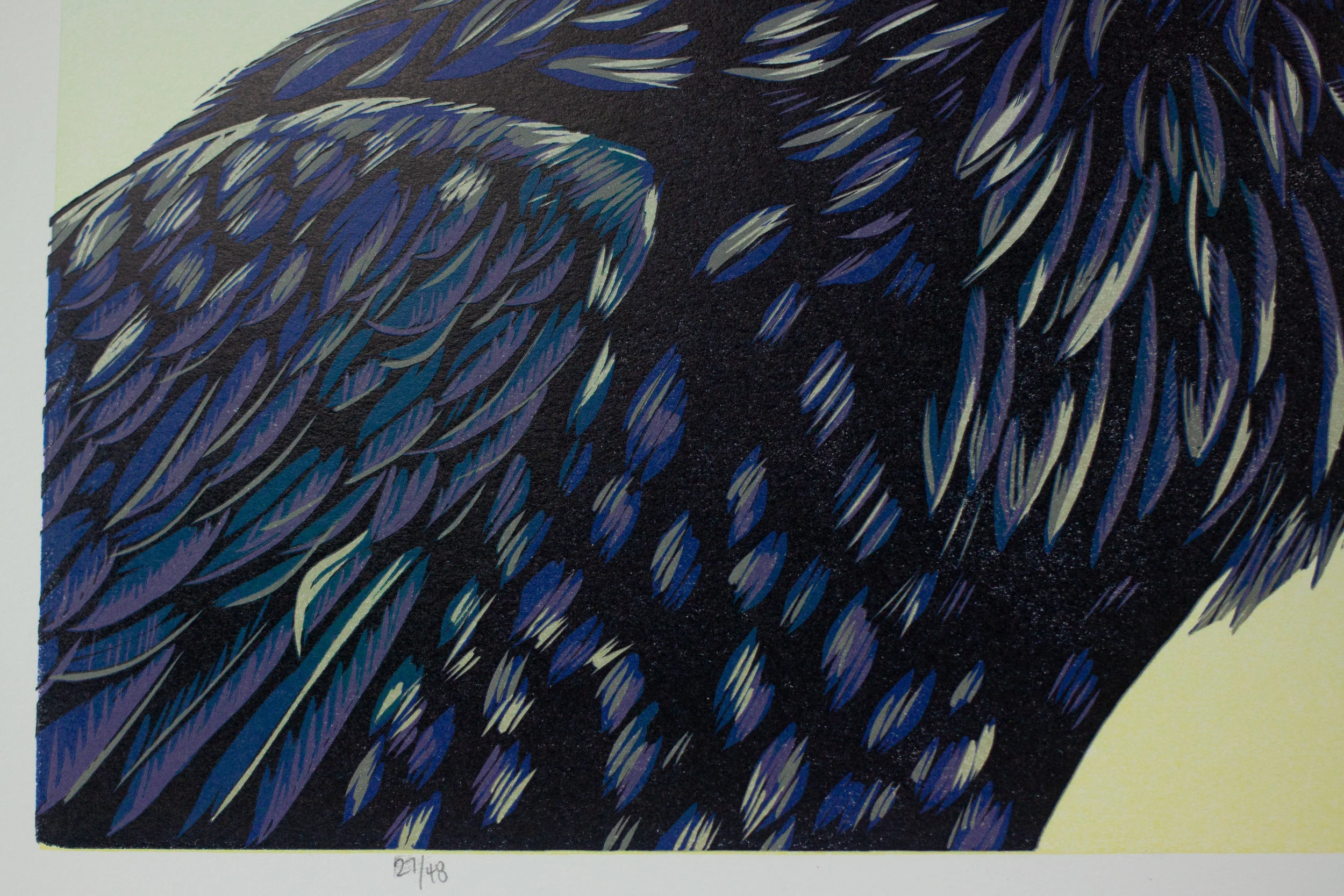 Corvid2.jpg