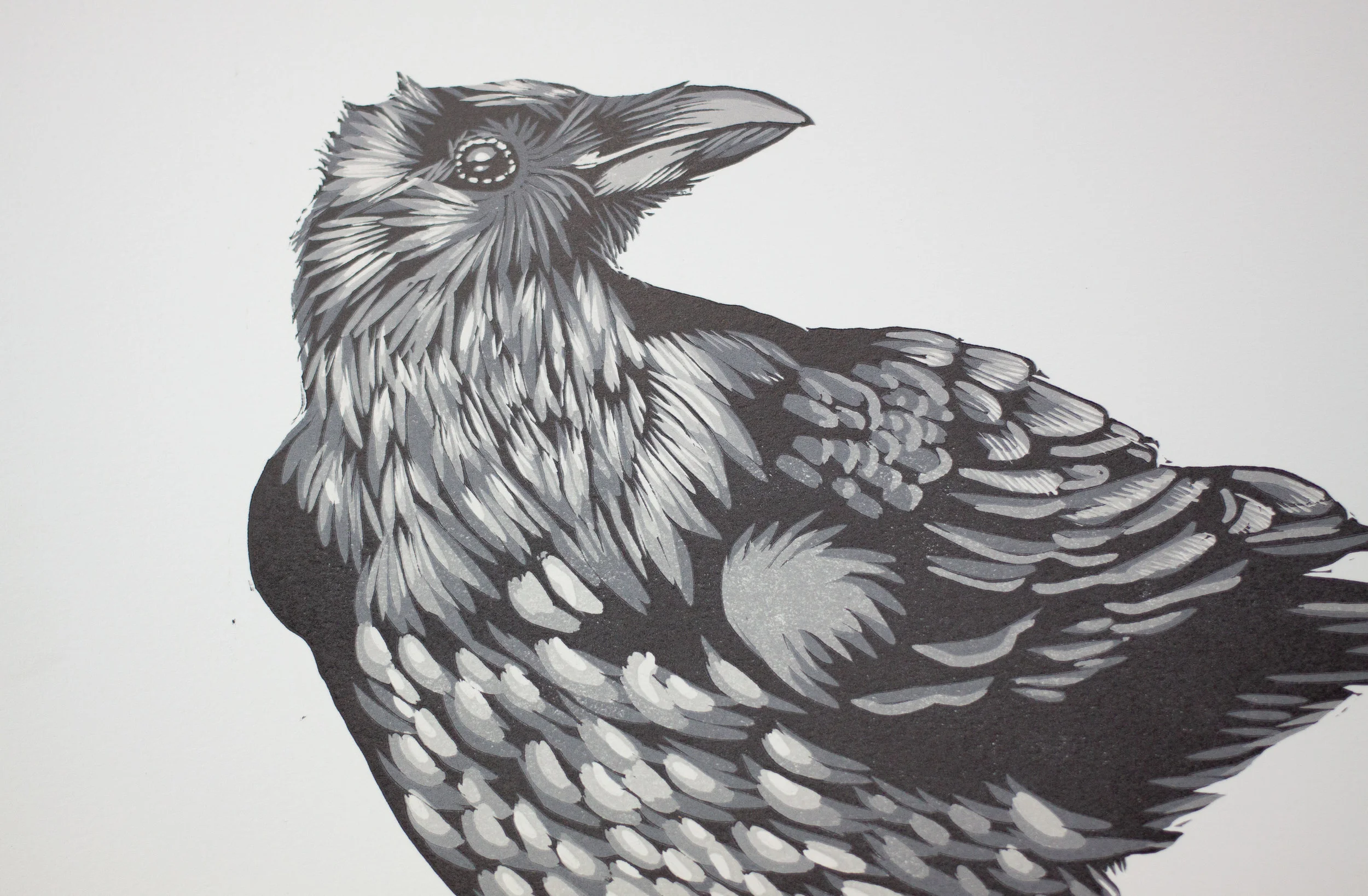 UntitledCorvid2.jpg