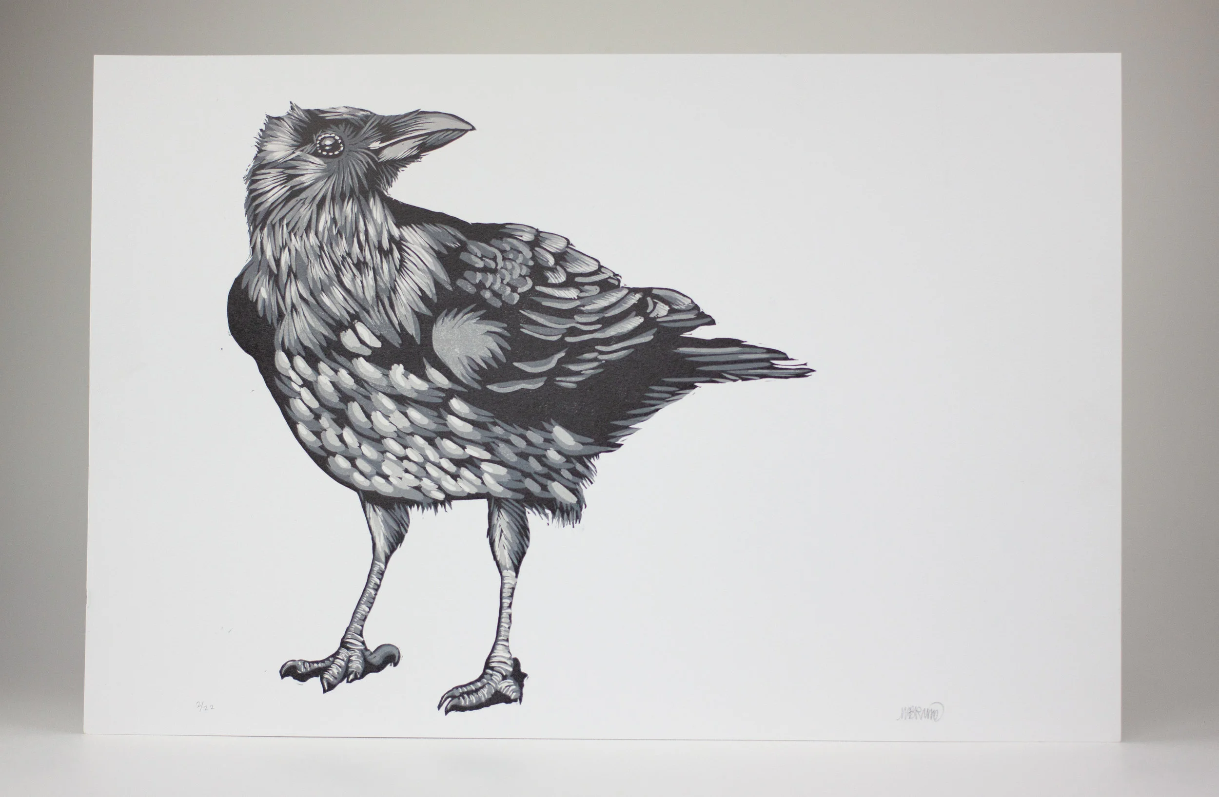 UntitledCorvid.jpg