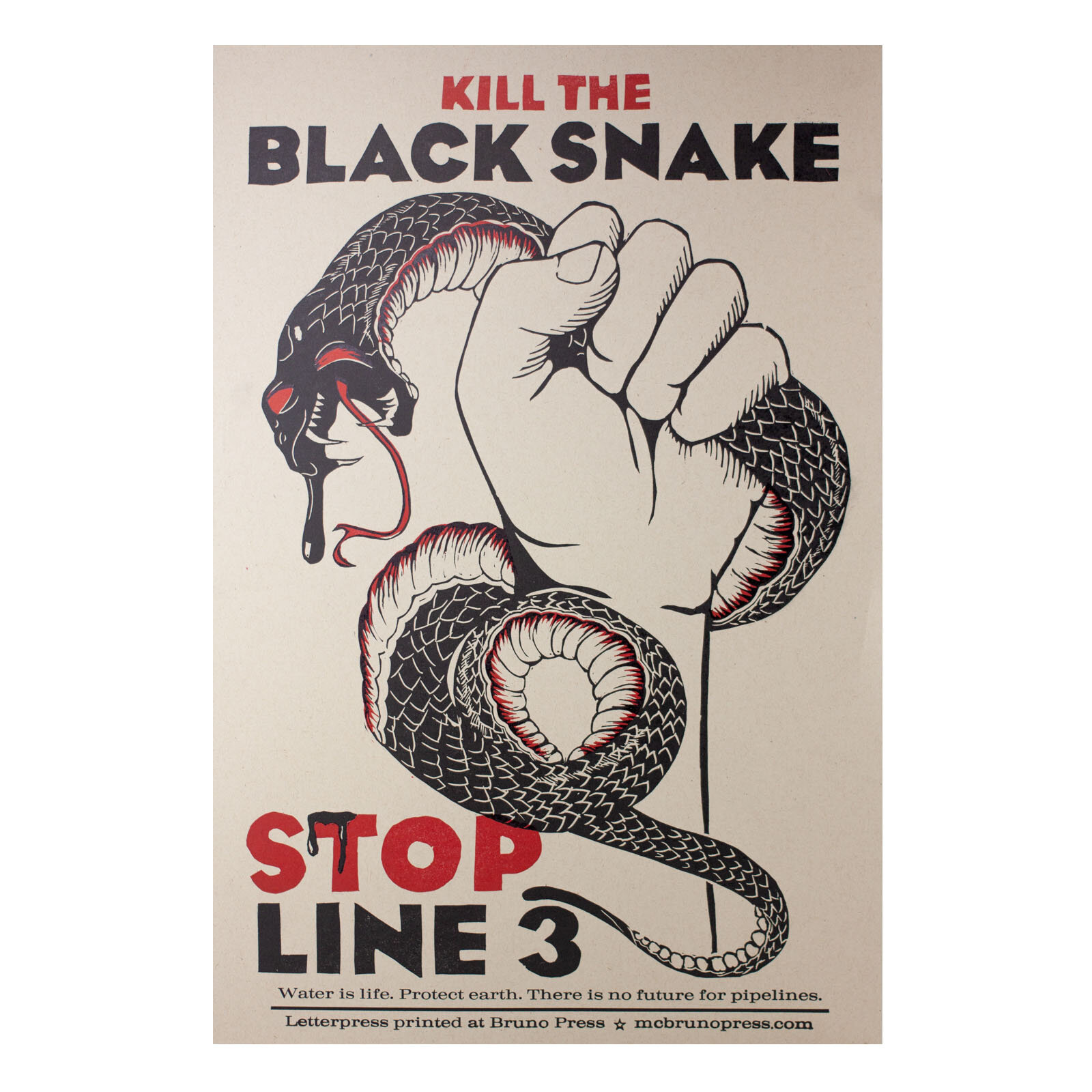 BlackSnake1_SQ.jpg