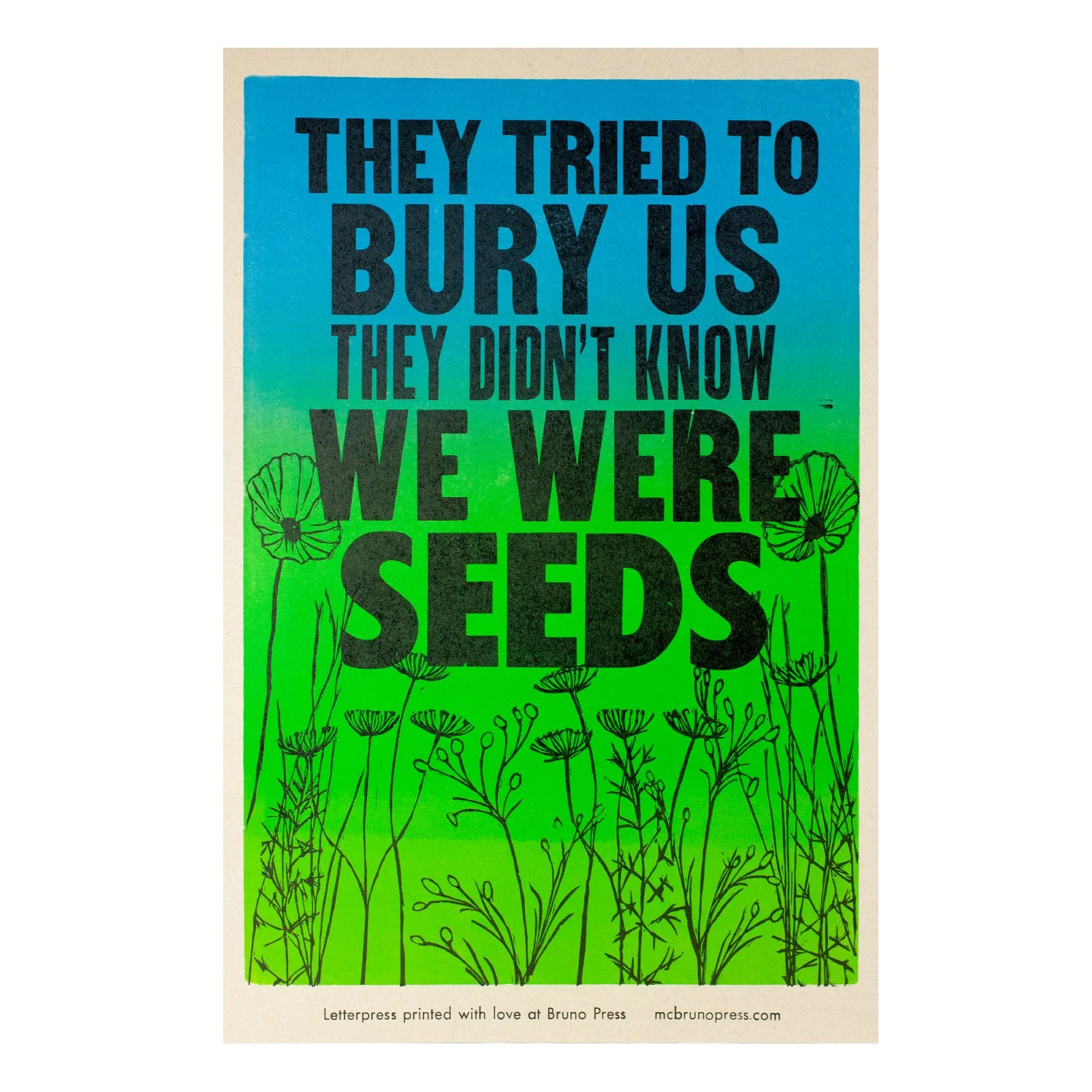 Seeds