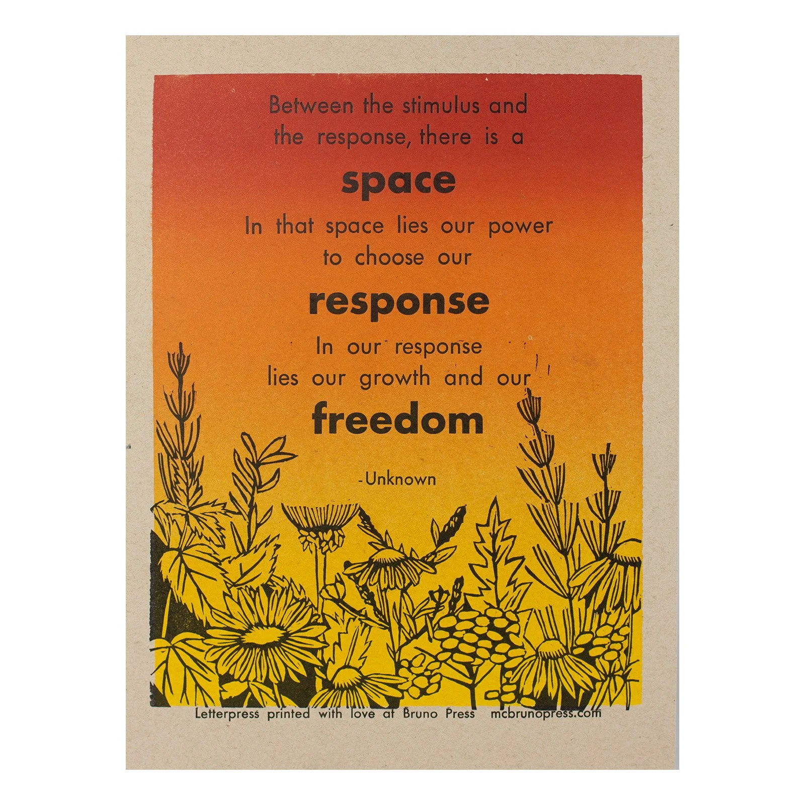 Between Stimulus and Response