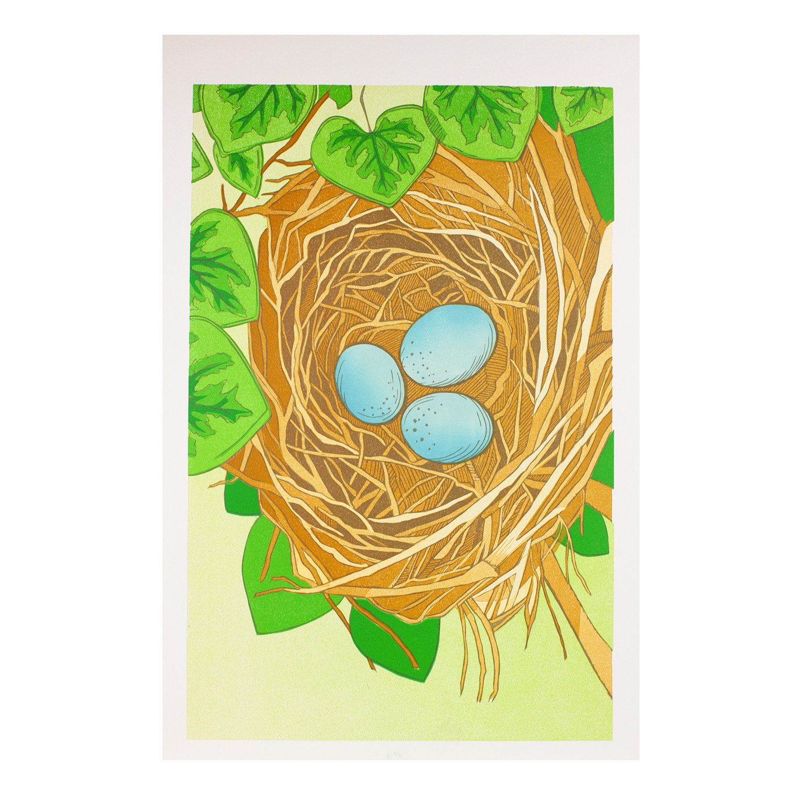 Sands-BirdNest_SQ.jpg