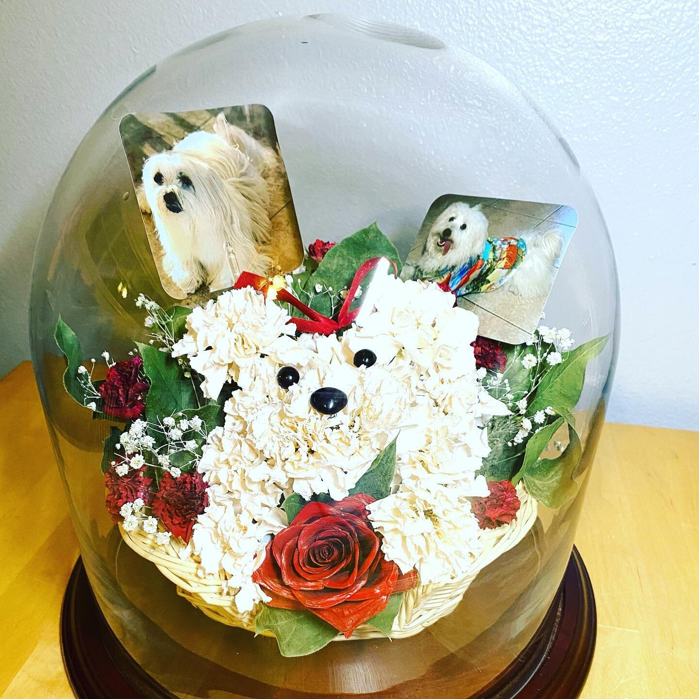 A  very special keepsake to remember their Beloved  Pup Angel.  #petmemorial #floralpreservation #suesgardenflowerpreservation #petkeepsake