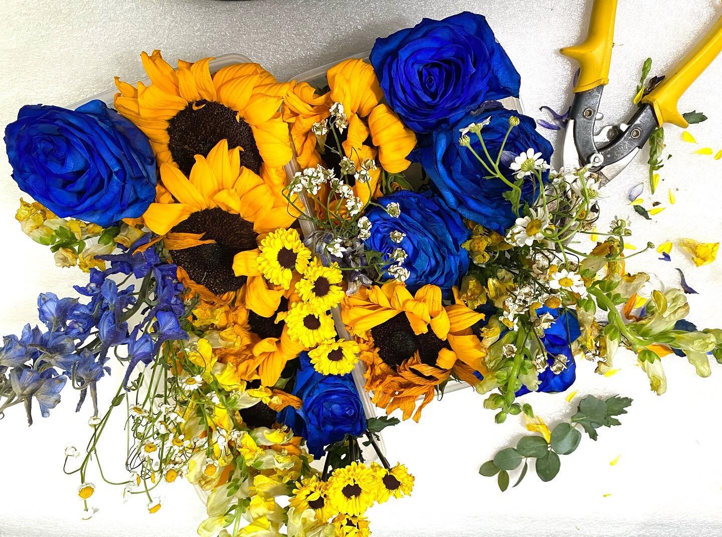 Spring Mountain Wedding Bouquet.  Preserving these beauties today.  #preservedbridalbouquet #mountainwedding #sunflower #blueroses #bridalbouquets #floralpreservation