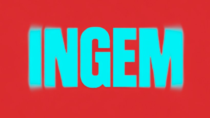 Ingem Media Group