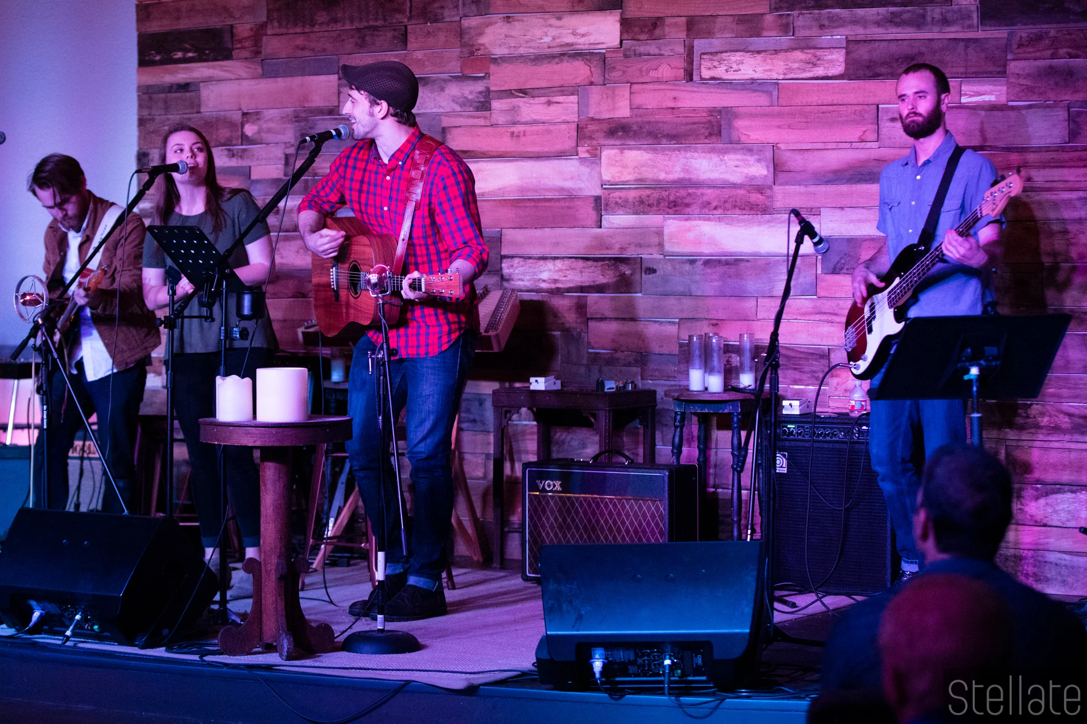 willie nelson tribute-0019.jpg
