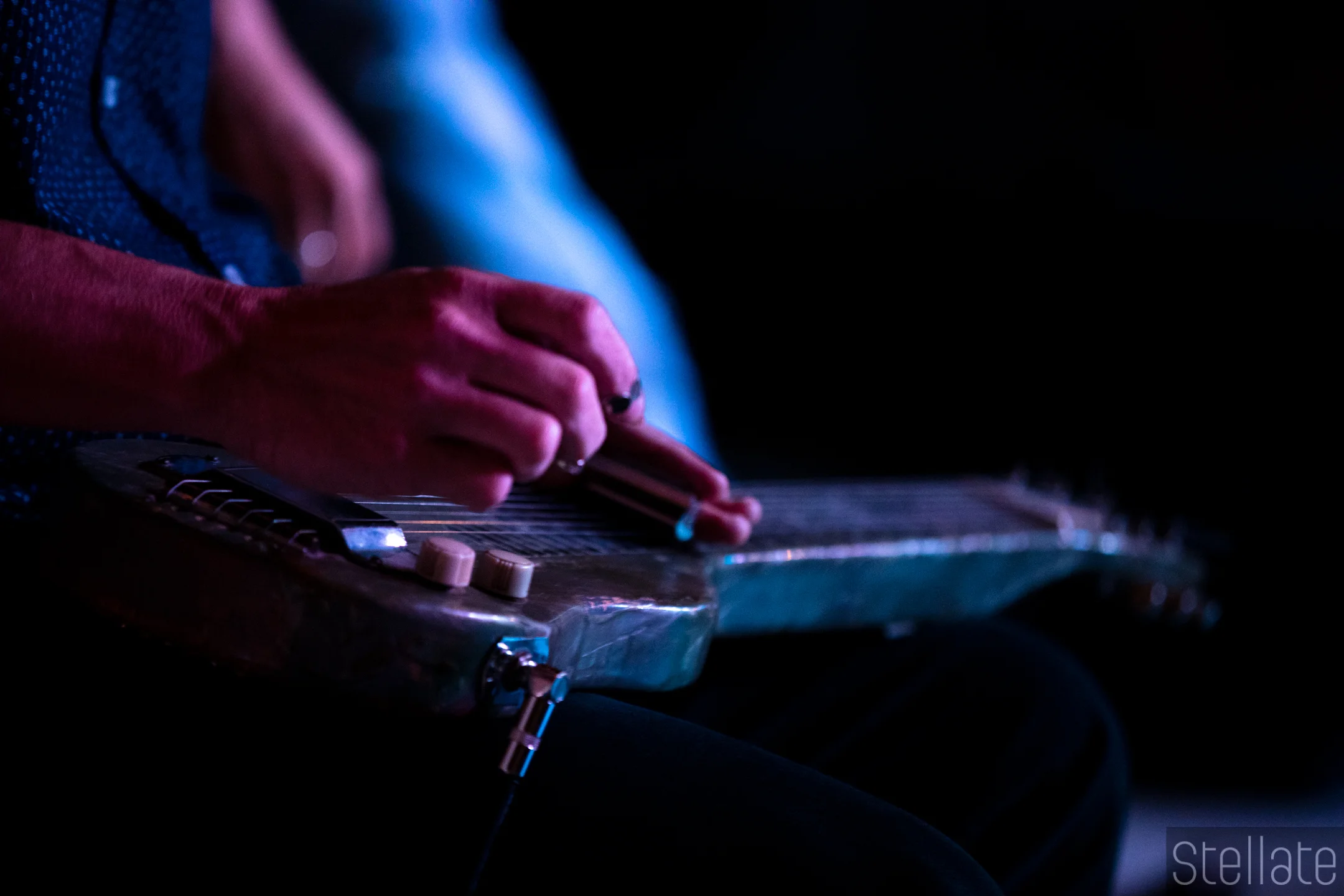 willie nelson tribute-0034.jpg