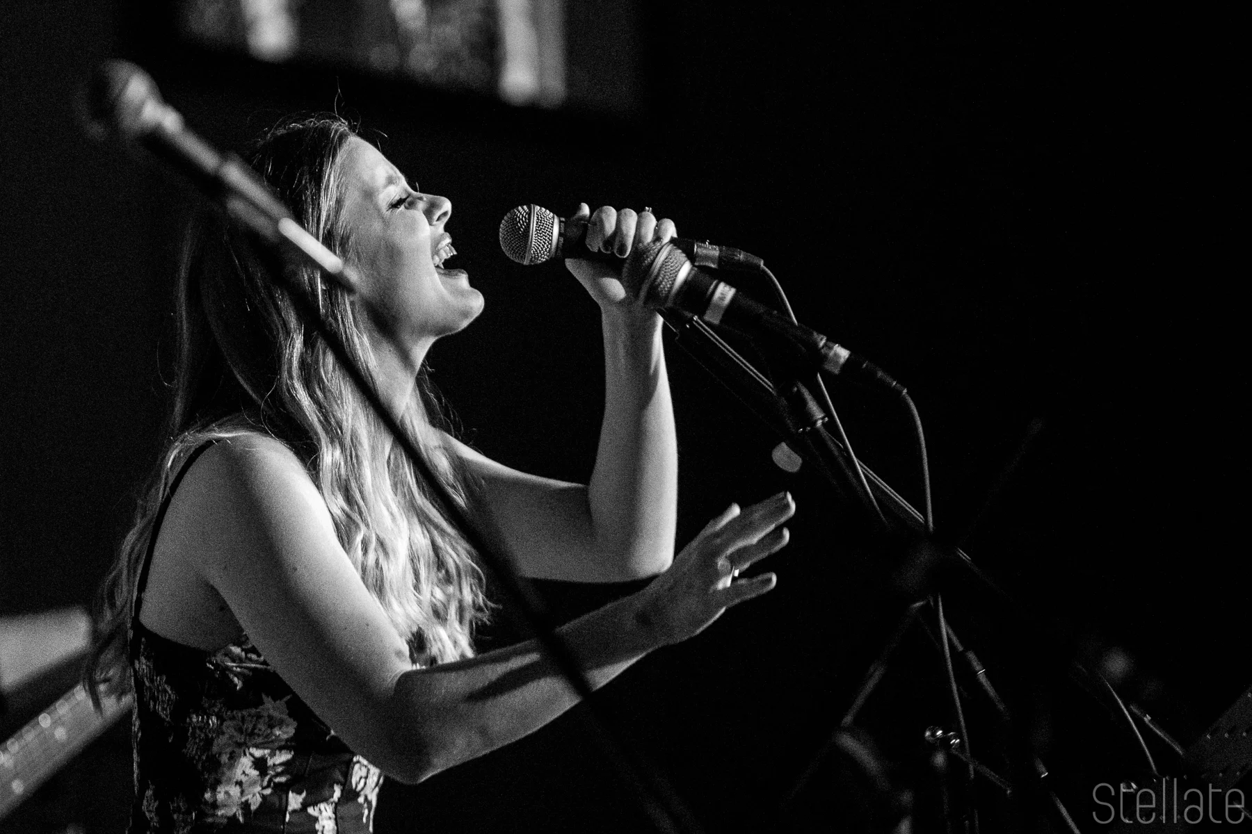Foundry Fleetwood Mac-15.jpg