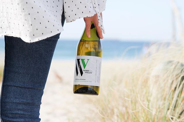 International Sauvignon Blanc day is here - officially time to crack open the Sauv!
.
#nzwine #sauvblanc #wardvalleyestate #sauvblancday