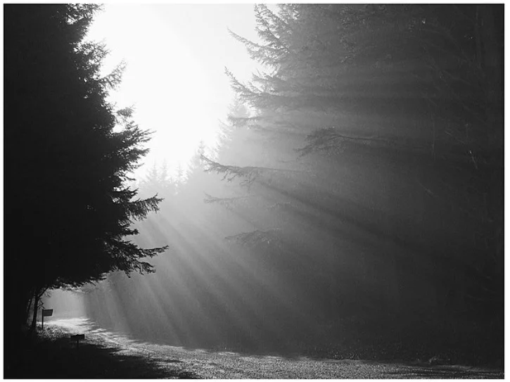 Smokey Light.jpg