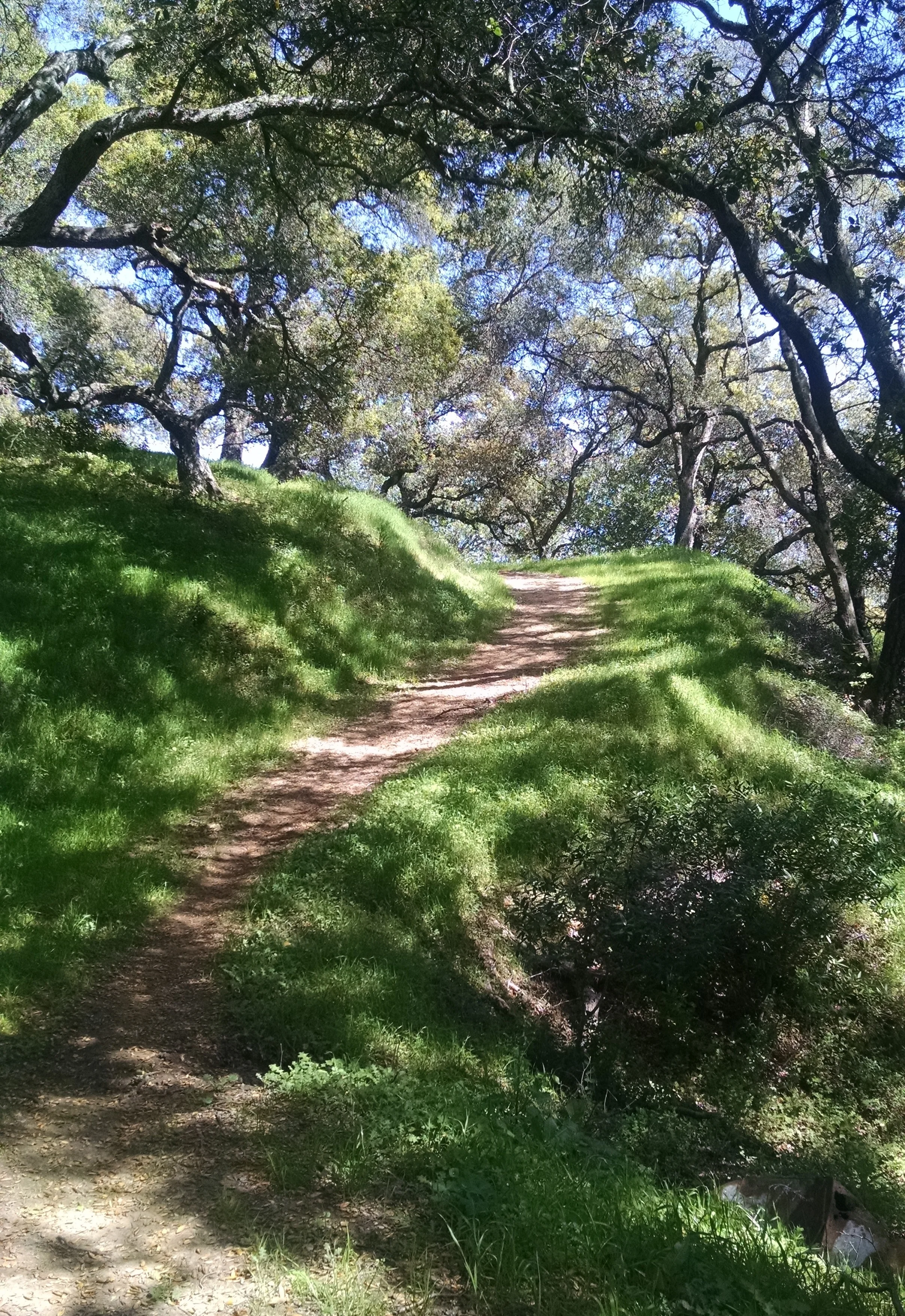 2017-03-17 13.25.58 cropped 2.jpg