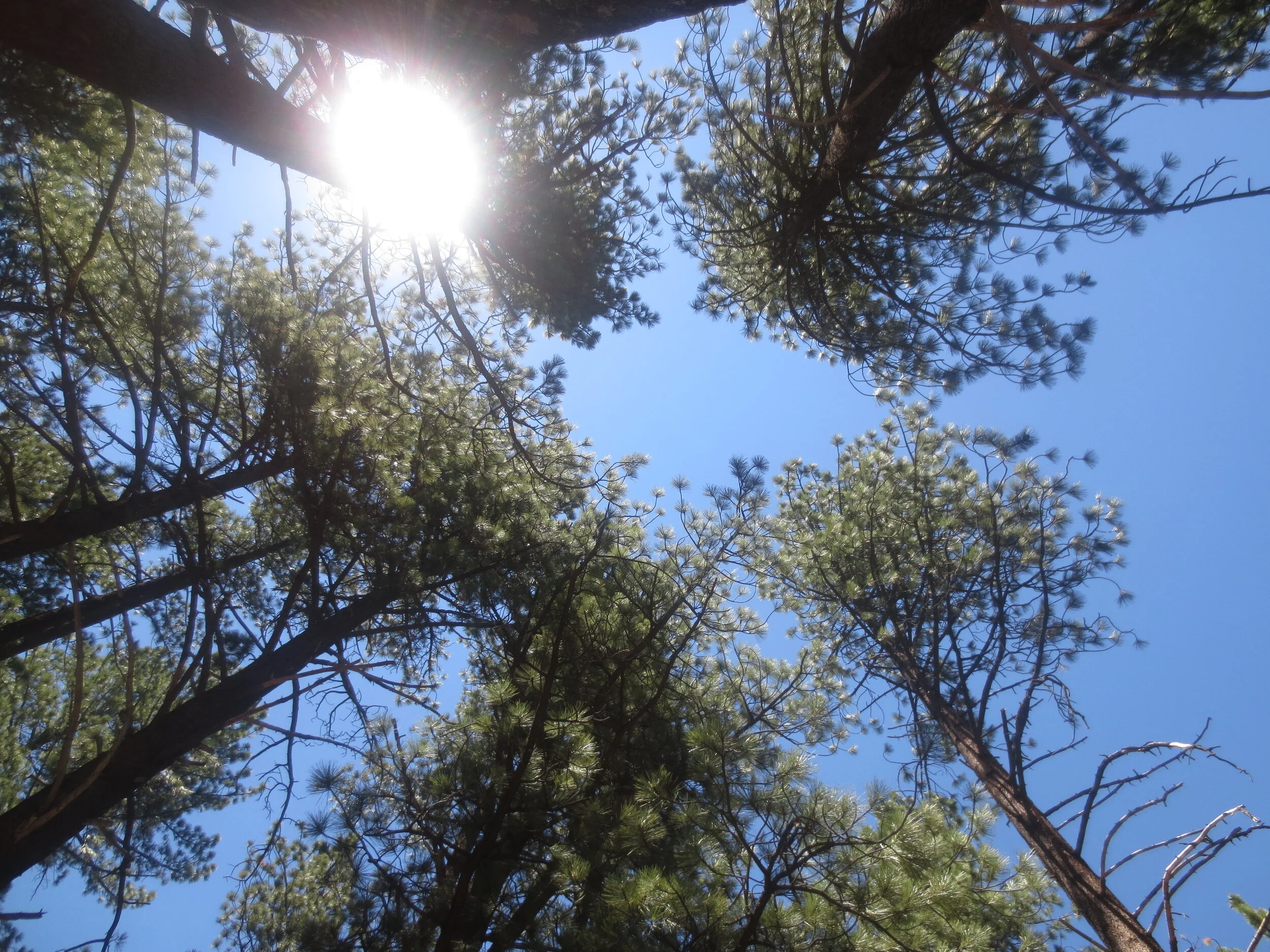 Our Top 10 Blog Posts of 2020