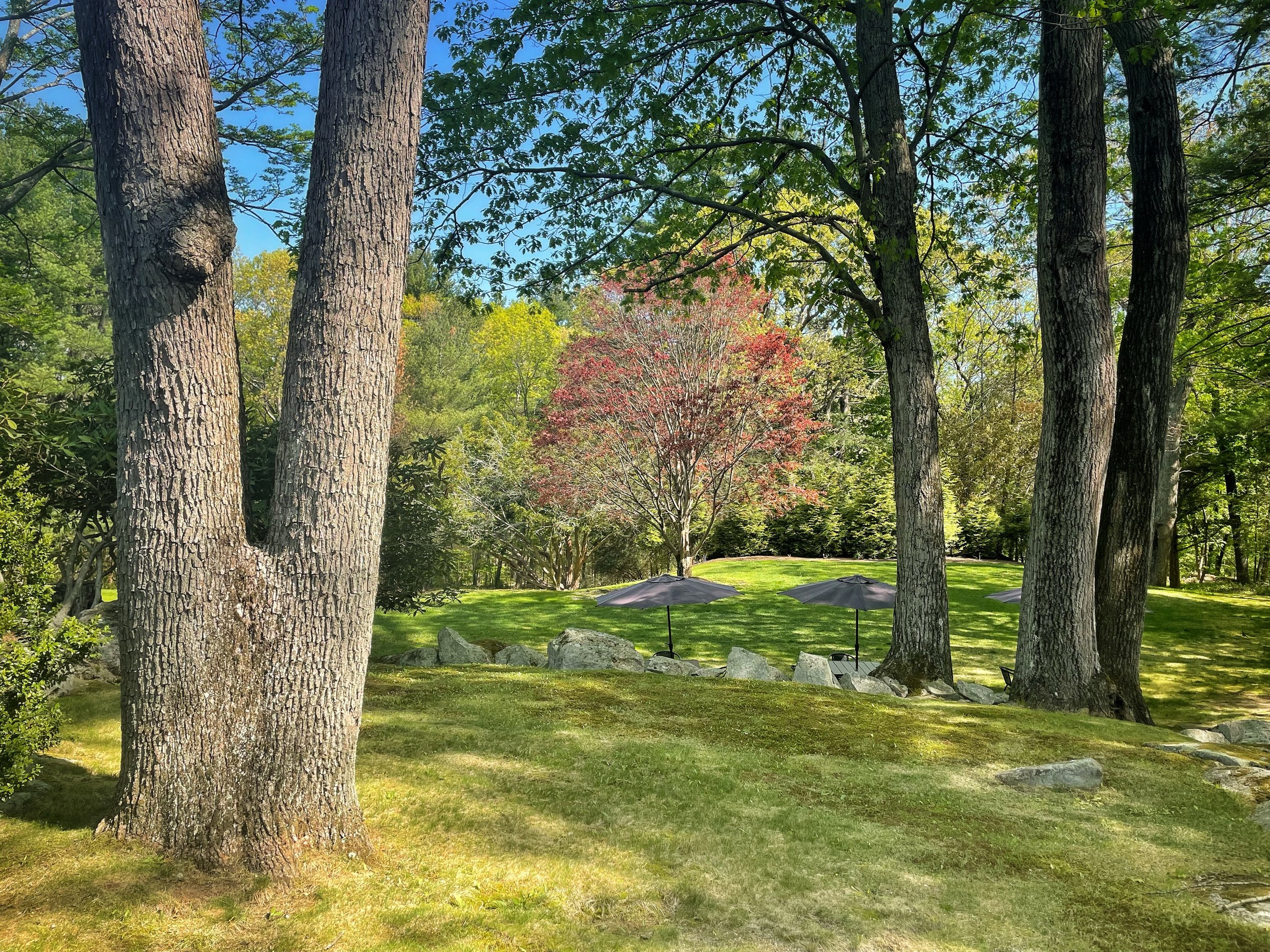 Grounds to explore at MIT Endicott House