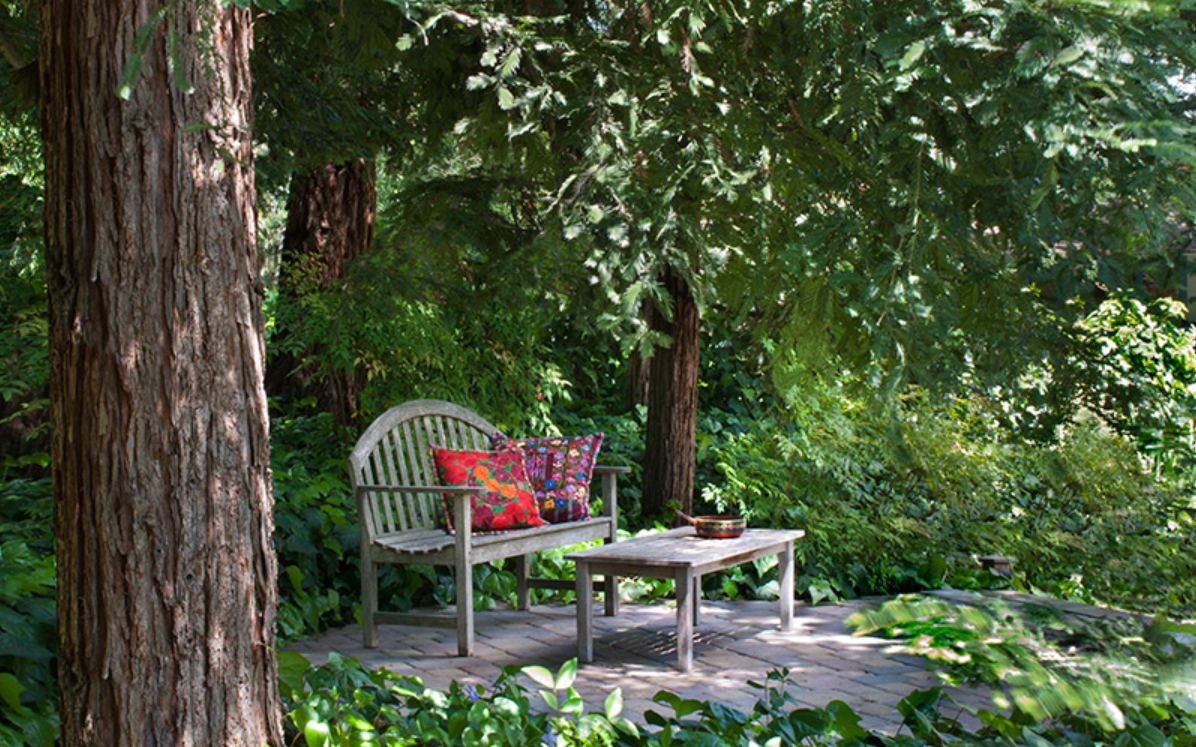 A peaceful bench at Westerbeke Ranch