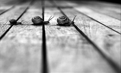 Family Online Session