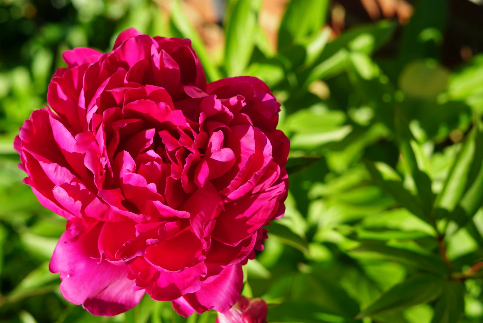 Where Do You Find the time?