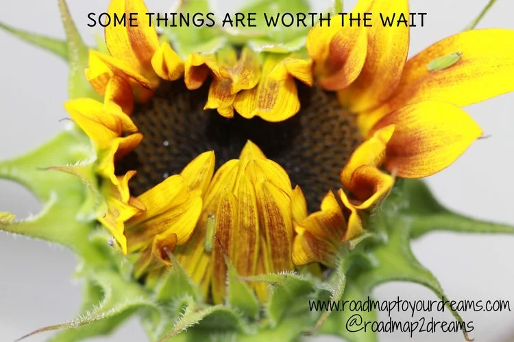 worthwaiting.jpg