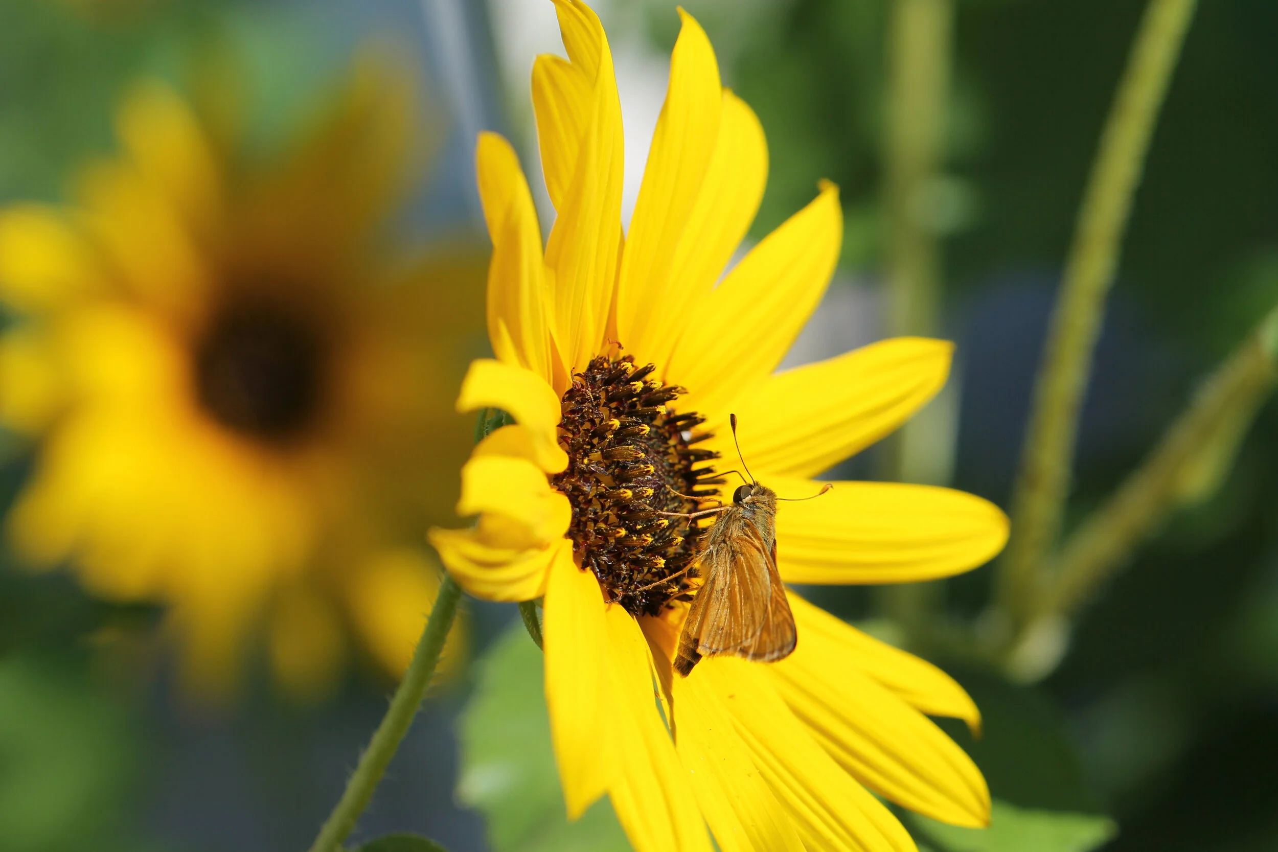 Shifts in Perspective: Scars and Blessings