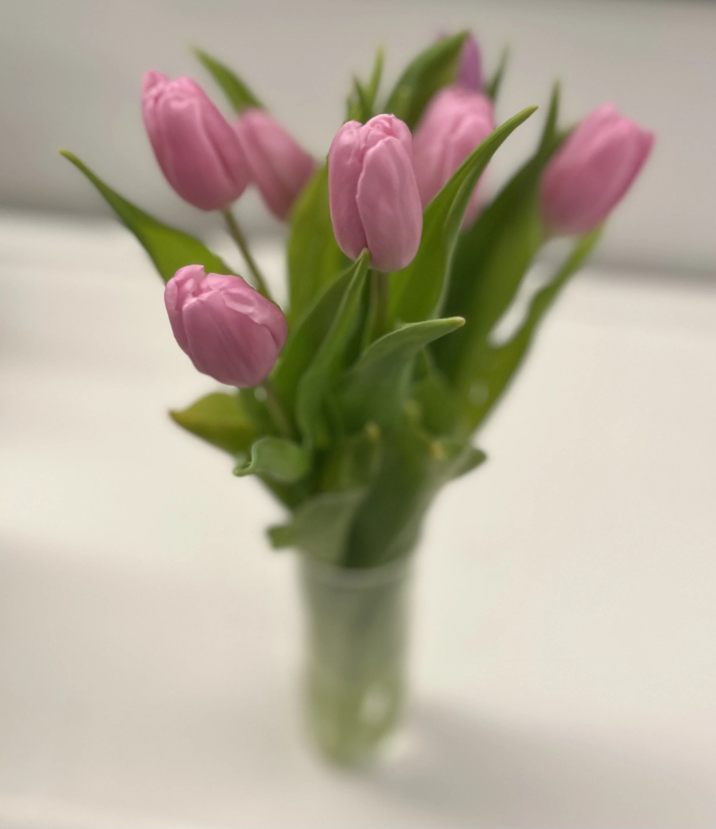 Happy Mother’s Day!