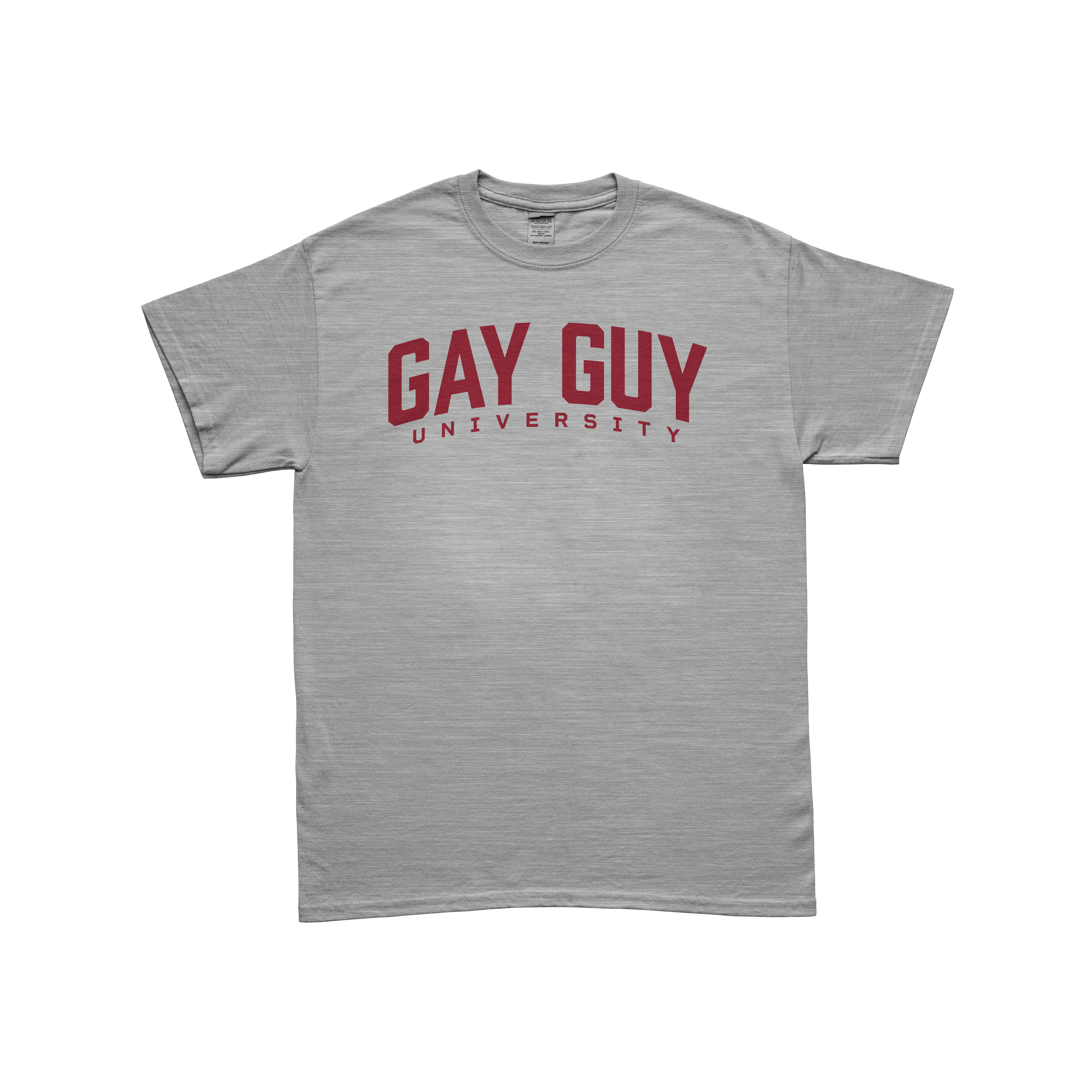 Gay Guy University
