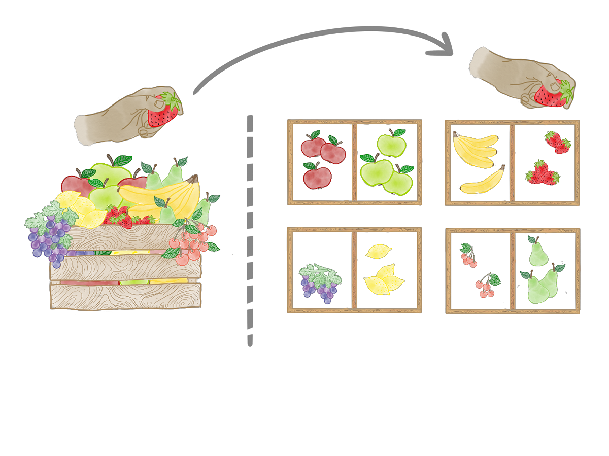 Workers sorting fruits into partititons