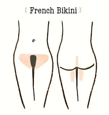 Waxing Diagrams — Body & Brow Boutique Waxing Diagrams — Body & Brow Boutique