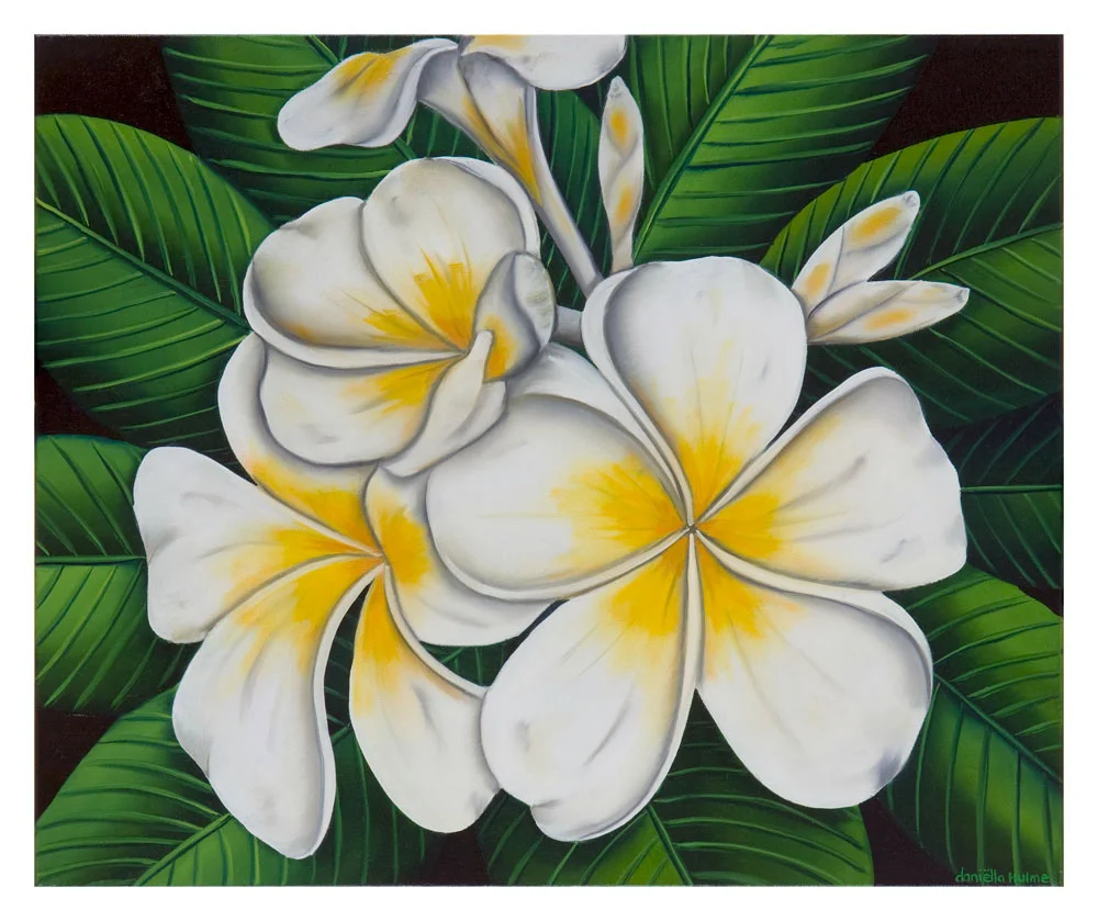 Frangipani in bloom