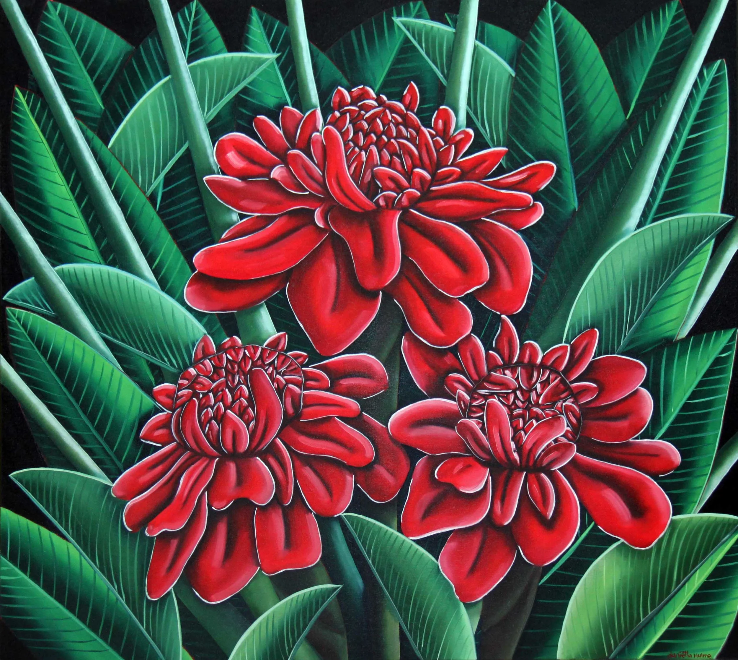 Red ginger torch flowers