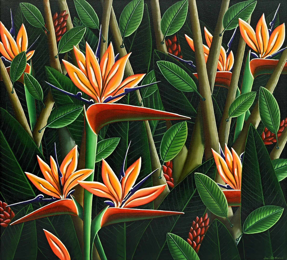 brid of paradise.jpg