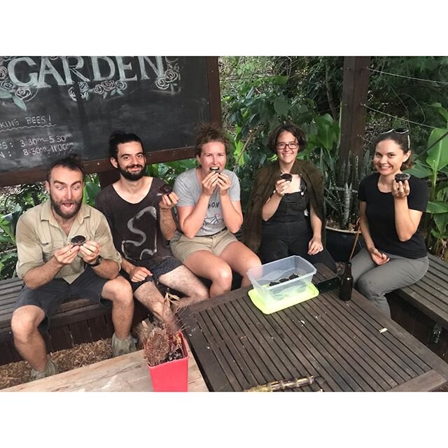 A rad team of gardeners! Hard work in the garden = Liz's delicious vegan chocolate muffins!
