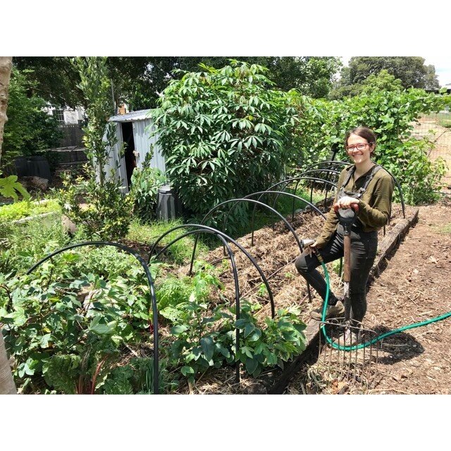 Liz preparing a syntrophic planting of corn, lettuce and basil 🌿