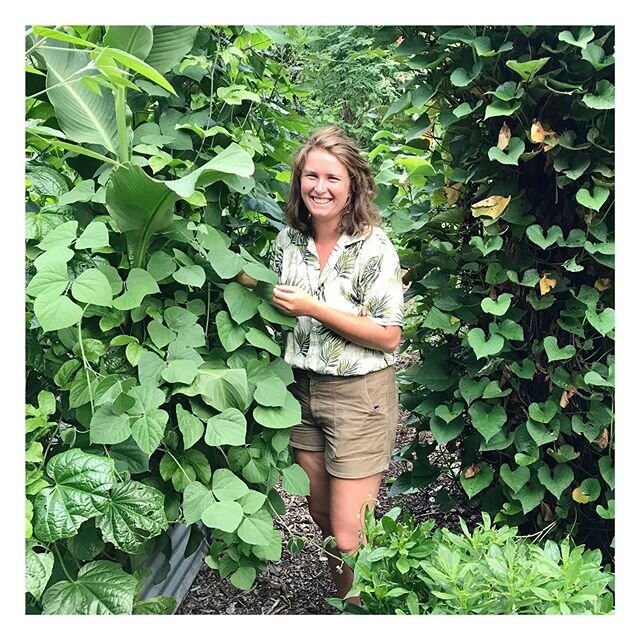 Gracey in the garden 🌿