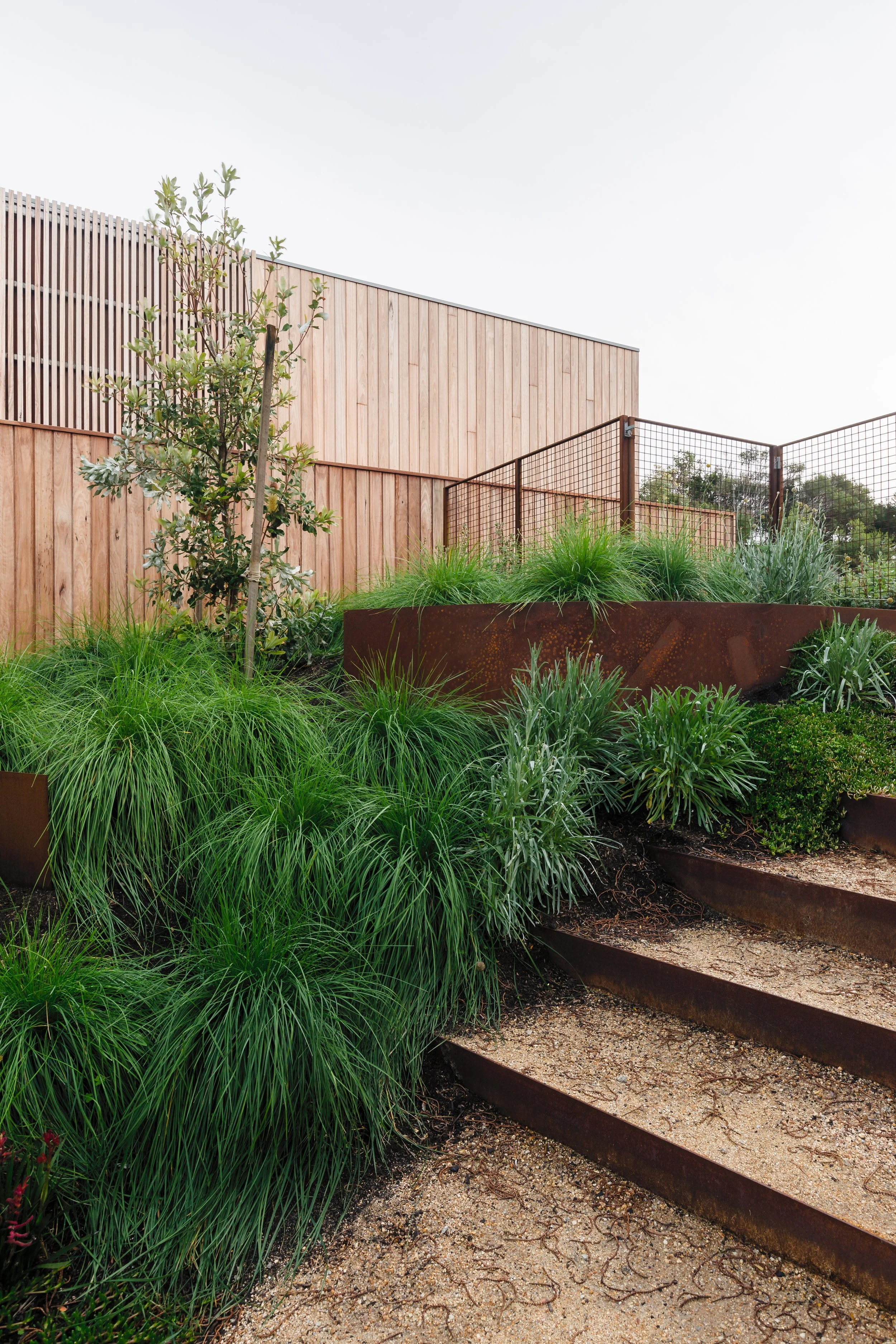 20220619-Ritchie Blairgowrie-189-Edit.jpg