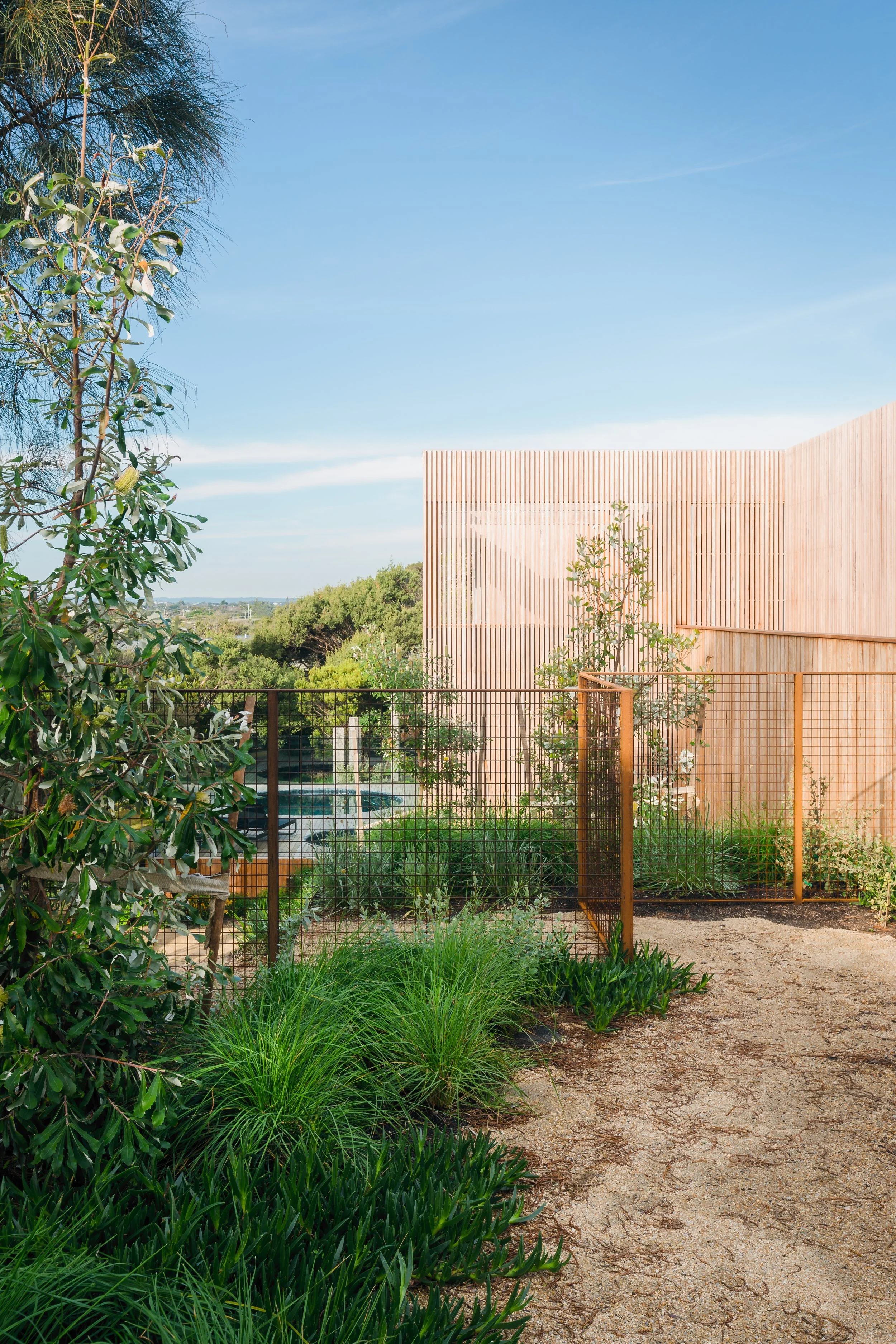 20220619-Ritchie Blairgowrie-022-Edit.jpg