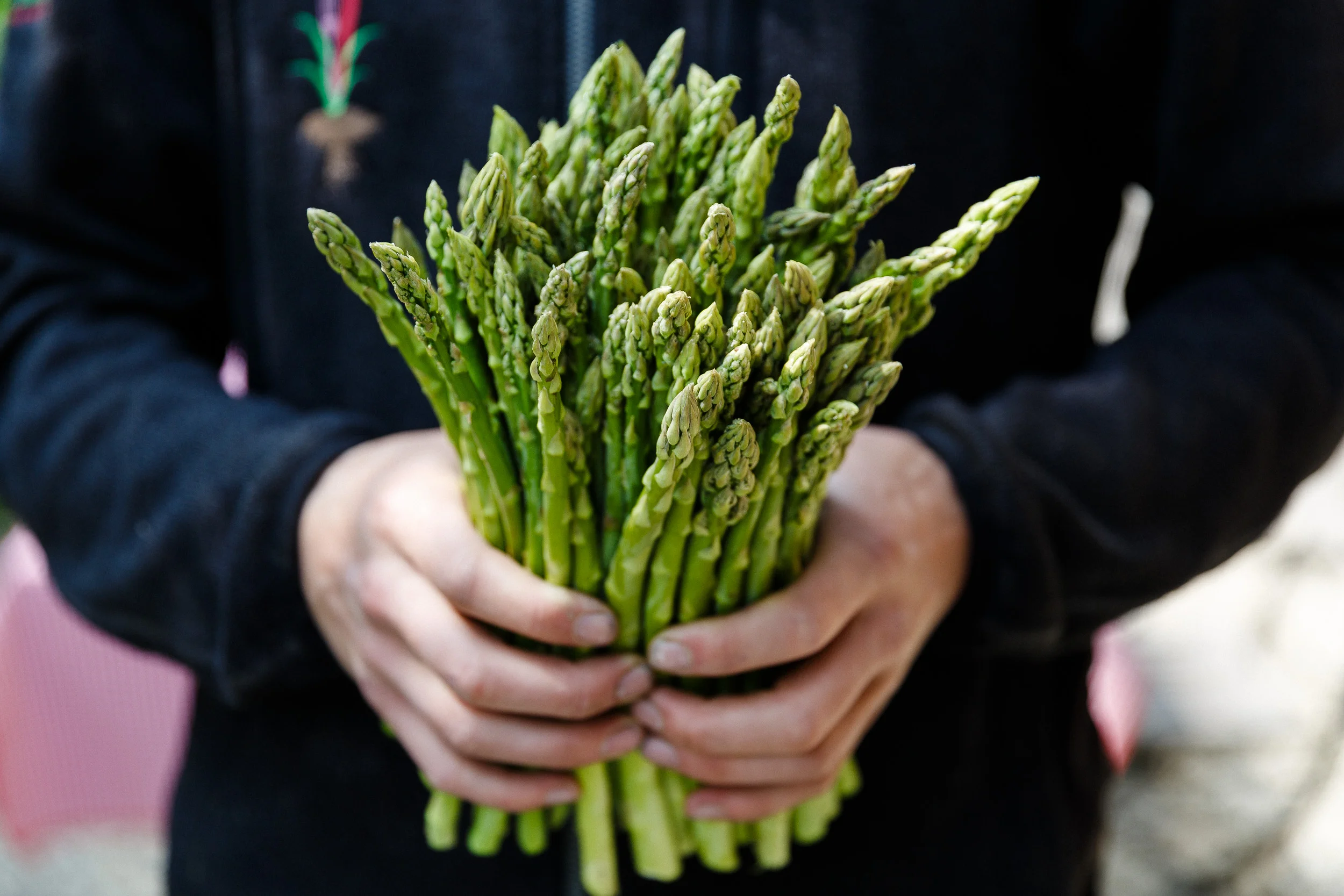 Asperges