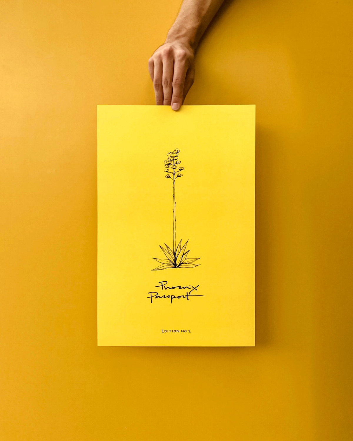 Following the launch and conclusion of the guide's stock, we created a limited poster of Amy's gorgeous b-side artwork for Phoenix Passport. They were available to purchase in support of the succeeding Passport project .
